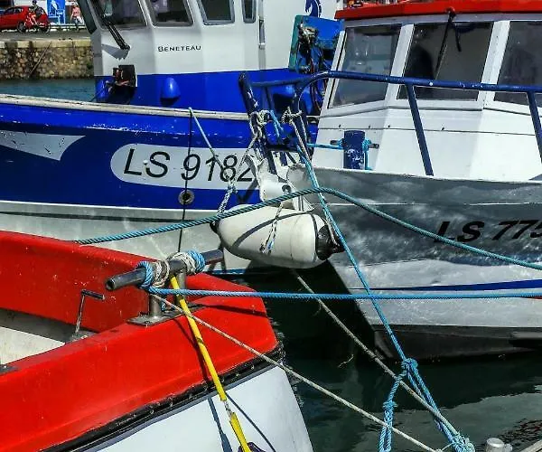 Le Concorde * Saint-Gilles-Croix-de-Vie